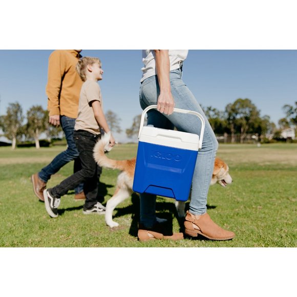 Igloo 12 qt. Laguna Hard Sided Ice Chest Personal Cooler - Blue - Picture 5 of 5